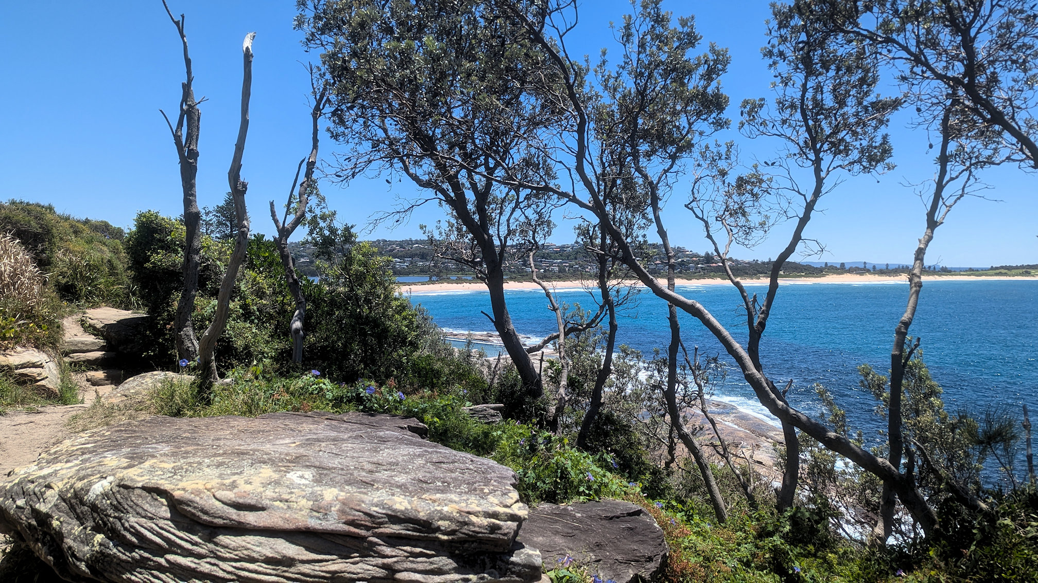 dy_curlcurl track (2)